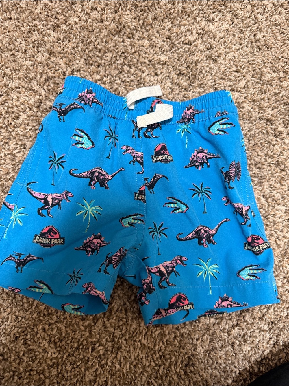 Chubbies Jurassic park hybrid shorts